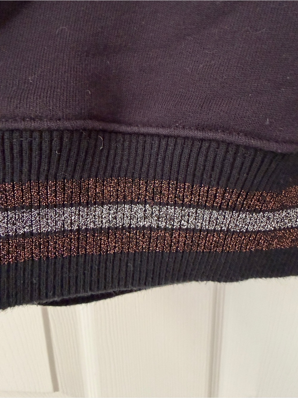 Coach Navy Crewneck Sweatshirt with Dinosaur Embroidery - Picture 2 of 6